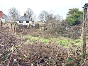 Photo 7- click for photo gallery